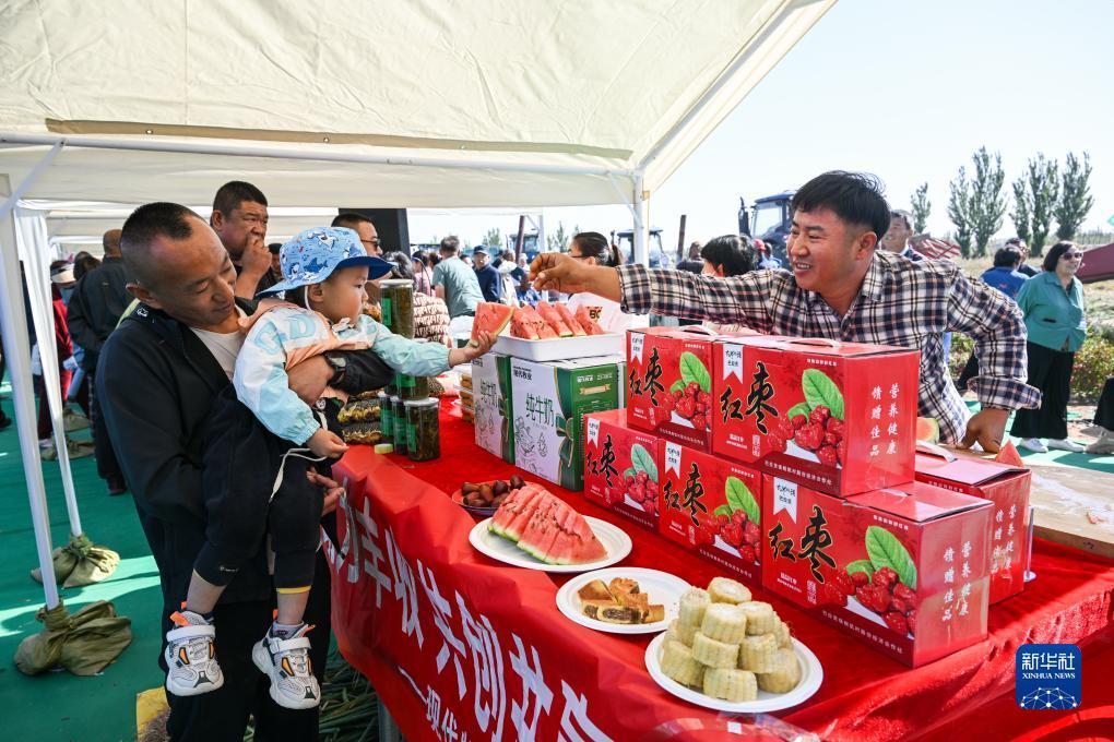 新尼斯人娱乐入口